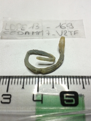  ( - LOPE13-169)  @12 [ ] CreativeCommons - Attribution Non-Commercial Share-Alike (2013) ECODIV Univ Rouen