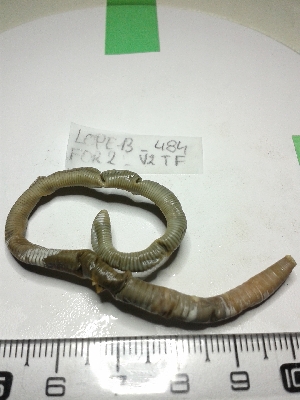  ( - LOPE13-484)  @12 [ ] CreativeCommons - Attribution Non-Commercial Share-Alike (2013) ECODIV Univ Rouen