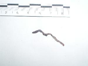  ( - EW-CA-023)  @13 [ ] CC-0 (2010) Unspecified Unspecified