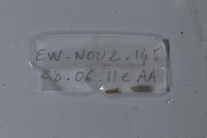  ( - EW-NOU2-145)  @12 [ ] Copyright (2011) Thibaud Decaens Laboratoire ECODIV, Univ Rouen