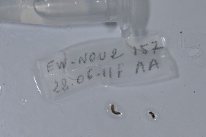  ( - EW-NOU2-157)  @12 [ ] Copyright (2011) Thibaud Decaens Laboratoire ECODIV, Univ Rouen
