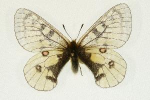  ( - EZ1104CNC)  @14 [ ] Unspecified (default): All Rights Reserved  Unspecified Unspecified