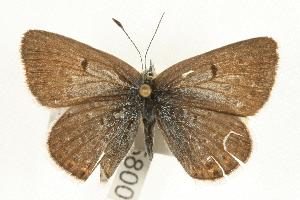  ( - EZ1268CNC)  @13 [ ] Unspecified (default): All Rights Reserved  Unspecified Unspecified