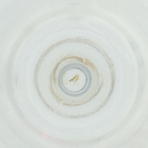  ( - FACE_017_F8)  @11 [ ] by  Genome Research Ltd as Wellcome Sanger Institute Genome Research Limited operating as Wellcome Sanger Institute