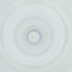  ( - FACE_018_E4)  @11 [ ] by  Genome Research Ltd as Wellcome Sanger Institute Genome Research Limited operating as Wellcome Sanger Institute