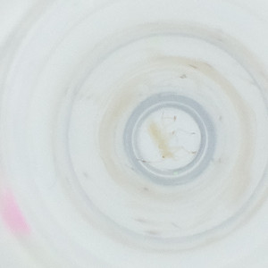  ( - FACE_106_F11)  @11 [ ] by  Genome Research Ltd as Wellcome Sanger Institute Genome Research Limited operating as Wellcome Sanger Institute