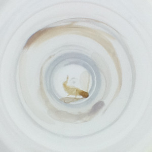  ( - FACE_129_H11)  @11 [ ] by  Genome Research Ltd as Wellcome Sanger Institute Genome Research Limited operating as Wellcome Sanger Institute