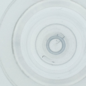  ( - FACE_303_C5)  @11 [ ] by  Genome Research Ltd as Wellcome Sanger Institute Genome Research Limited operating as Wellcome Sanger Institute