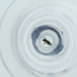  ( - FACE_315_H3)  @11 [ ] by  Genome Research Ltd as Wellcome Sanger Institute Genome Research Limited operating as Wellcome Sanger Institute