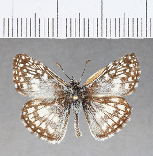  ( - CFC10462)  @11 [ ] Copyright (2018) Center For Collection-Based Research Center For Collection-Based Research