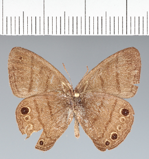  ( - CFC10753)  @11 [ ] copyright (2022) Center For Collection-Based Research Center For Collection-Based Research