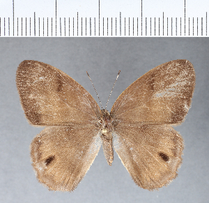  ( - CFC11792)  @11 [ ] Copyright (2018) Center For Collection-Based Research Center For Collection-Based Research