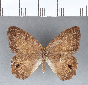  ( - CFC12036)  @11 [ ] Copyright (2018) Center For Collection-Based Research Center For Collection-Based Research