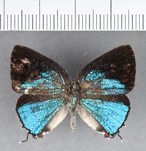  ( - CFC13378)  @11 [ ] Copyright (2018) Center For Collection-Based Research Center For Collection-Based Research