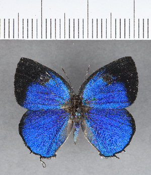  ( - CFC13841_2)  @11 [ ] Copyright (2019) Center For Collection-Based Research Center For Collection-Based Research