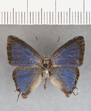 ( - CFC13849_2)  @11 [ ] Copyright (2019) Center For Collection-Based Research Center For Collection-Based Research
