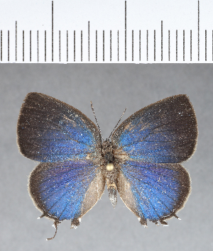  ( - CFC14112_2)  @11 [ ] Copyright (2019) Center For Collection-Based Research Center For Collection-Based Research