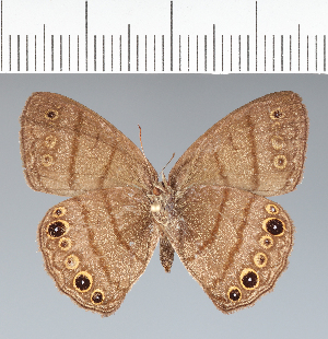  ( - CFC14403)  @11 [ ] copyright (2022) Center For Collection-Based Research Center For Collection-Based Research