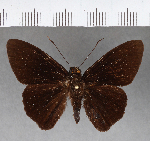  ( - CFC15799)  @11 [ ] Copyright (2018) Center For Collection-Based Research Center For Collection-Based Research