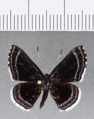  ( - CFC16306)  @11 [ ] Copyright (2018) Center For Collection-Based Research Center For Collection-Based Research
