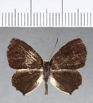  ( - CFC16824)  @11 [ ] Copyright (2018) Center For Collection-Based Research Center For Collection-Based Research