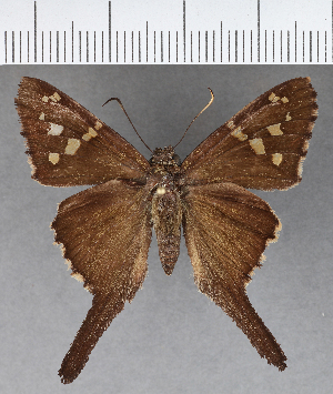  ( - CFC17154)  @11 [ ] Copyright (2018) Center For Collection-Based Research Center For Collection-Based Research