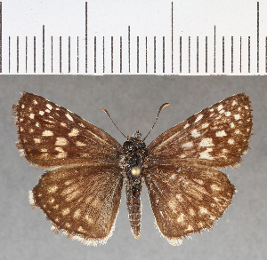  ( - CFC17502)  @11 [ ] Copyright (2018) Center For Collection-Based Research Center For Collection-Based Research