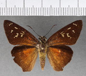  ( - CFC17580)  @11 [ ] Copyright (2018) Center For Collection-Based Research Center For Collection-Based Research