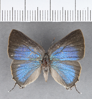  ( - CFC18228)  @11 [ ] Copyright (2018) Center For Collection-Based Research Center For Collection-Based Research