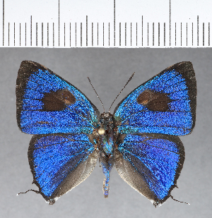  ( - CFC18884)  @11 [ ] Copyright (2018) Center For Collection-Based Research Center For Collection-Based Research