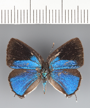  ( - CFC19017)  @11 [ ] copyright (2023) Center For Collection-Based Research Center For Collection-Based Research