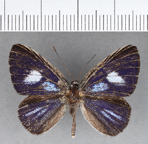  ( - CFC19058)  @11 [ ] Copyright (2018) Center For Collection-Based Research Center For Collection-Based Research