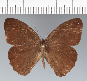  ( - CFC20868)  @11 [ ] copyright (2022) Center For Collection-Based Research Center For Collection-Based Research