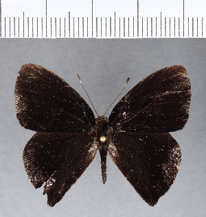  ( - CFC02139)  @11 [ ] Copyright (2018) Center For Collection-Based Research Center For Collection-Based Research