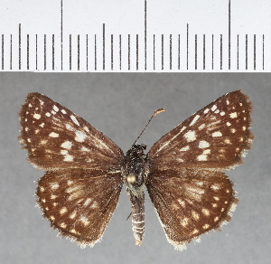  ( - CFC02155)  @11 [ ] Copyright (2018) Center For Collection-Based Research Center For Collection-Based Research