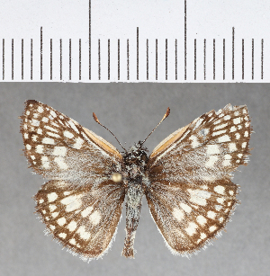  ( - CFC02157)  @11 [ ] Copyright (2018) Center For Collection-Based Research Center For Collection-Based Research