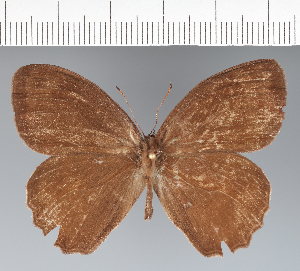  ( - CFC23575)  @11 [ ] copyright (2022) Center For Collection-Based Research Center For Collection-Based Research
