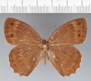  ( - CFC26491)  @11 [ ] copyright (2022) Center For Collection-Based Research Center For Collection-Based Research