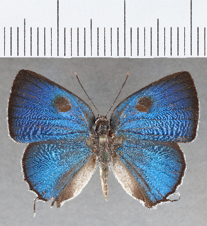  ( - CFC27170)  @11 [ ] copyright (2020) Center For Collection-Based Research Center For Collection-Based Research