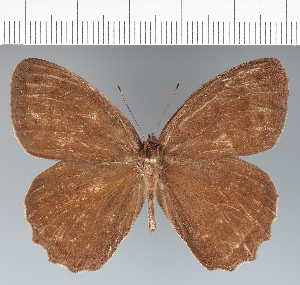  ( - CFC28041)  @11 [ ] copyright (2022) Center For Collection-Based Research Center For Collection-Based Research