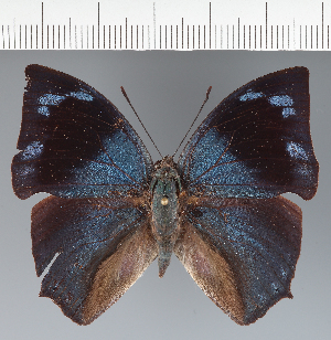  ( - CFC31562)  @11 [ ] copyright (2023) Center For Collection-Based Research Center For Collection-Based Research