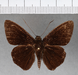  ( - CFC03372)  @11 [ ] Copyright (2018) Center For Collection-Based Research Center For Collection-Based Research