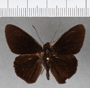  ( - CFC03378)  @11 [ ] Copyright (2018) Center For Collection-Based Research Center For Collection-Based Research