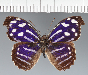  ( - CFC34260)  @11 [ ] copyright (2023) Center For Collection-Based Research Center For Collection-Based Research