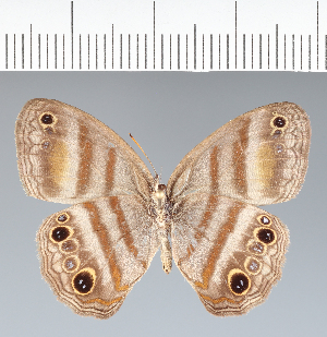  ( - CFC03934)  @11 [ ] copyright (2022) Center For Collection-Based Research Center For Collection-Based Research