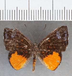  ( - CFC39643)  @11 [ ] copyright (2021) Center For Collection-Based Research Center For Collection-Based Research