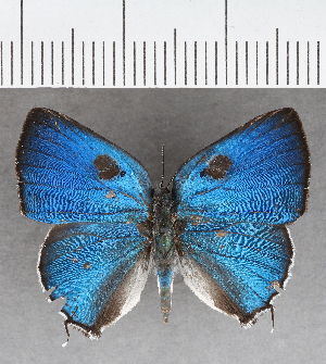  ( - CFC39655)  @11 [ ] copyright (2021) Center For Collection-Based Research Center For Collection-Based Research