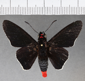  ( - CFC04078)  @13 [ ] Copyright (2019) Center For Collection-Based Research Center For Collection-Based Research