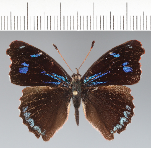  ( - CFC42058)  @11 [ ] copyright (2022) Center For Collection-Based Research Center For Collection-Based Research