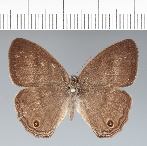  ( - CFC42222)  @11 [ ] copyright (2022) Center For Collection-Based Research Center For Collection-Based Research